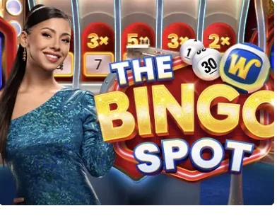 The Bingo Spot, Jeu télévisé